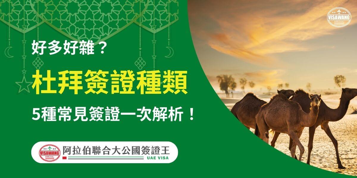 圖片以阿拉伯沙漠中的駱駝為背景，搭配溫暖的夕陽色調，象徵著杜拜旅行的迷人景致。標題文字簡明扼要地指出杜拜簽證的多樣性，並強調一次性解析5種常見簽證的特色和用途，幫助讀者快速掌握關鍵資訊。綠色元素融入設計，呼應中東文化，傳遞專業與信任感，協助計畫前往杜拜的旅客選擇最適合的簽證類型。